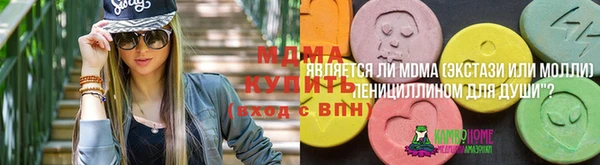 мдпв Осинники
