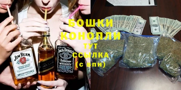 spice Пересвет