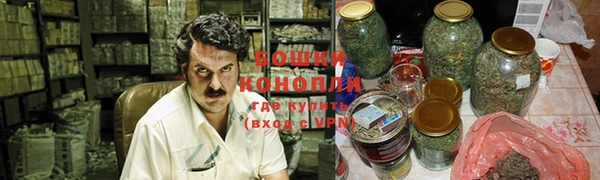 мдпв Осинники