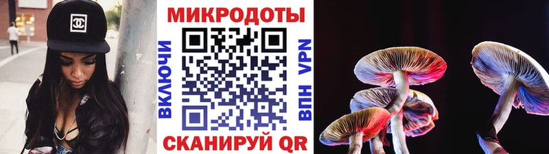 Галлюциногенные грибы Cubensis  Лакинск 